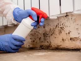 Biohazard Mold Removal in Vamo, FL